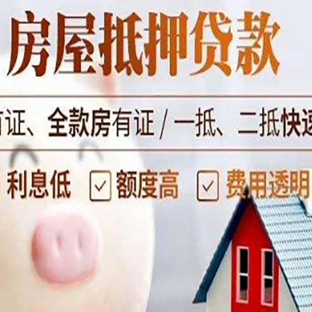 阜城贷款助贷公司新渝启服成立时间久