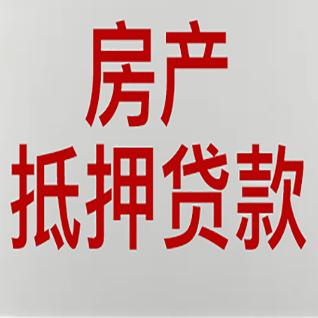 阜城贷款公司新渝启服推荐选择